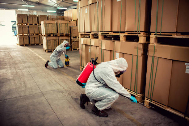 Best Pest Removal Services  in Eggertsville, NY