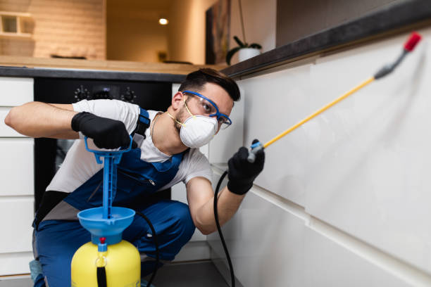Best Insect Control  in Eggertsville, NY
