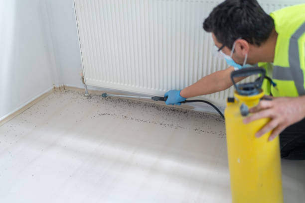 Best Termite Control Services  in Eggertsville, NY