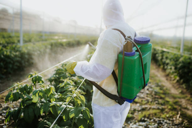 Best Commercial Pest Control Services  in Eggertsville, NY